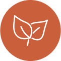 Colored leaf icon